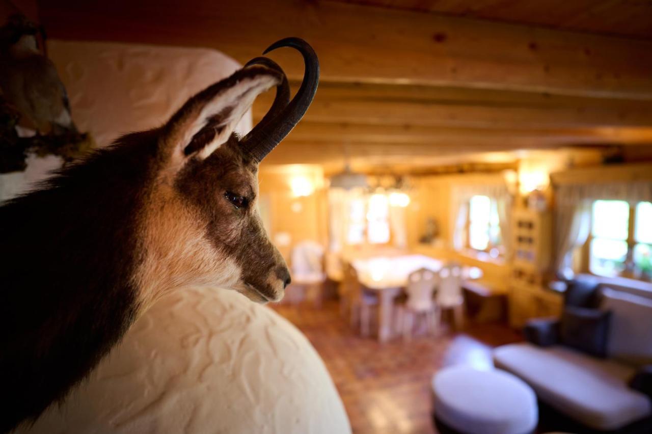 Holiday Chalet "Alpine Dreams" With Private Wellness 솔차바 외부 사진