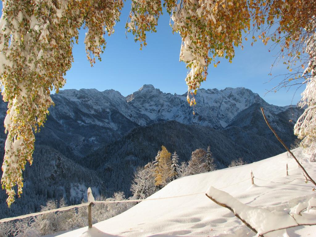 Holiday Chalet "Alpine Dreams" With Private Wellness 솔차바 외부 사진