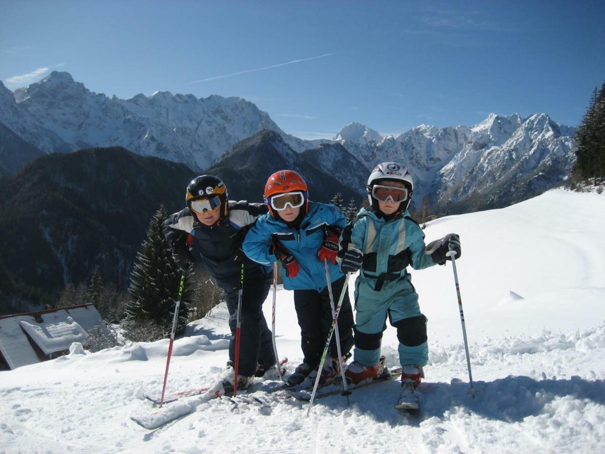 Holiday Chalet "Alpine Dreams" With Private Wellness 솔차바 외부 사진